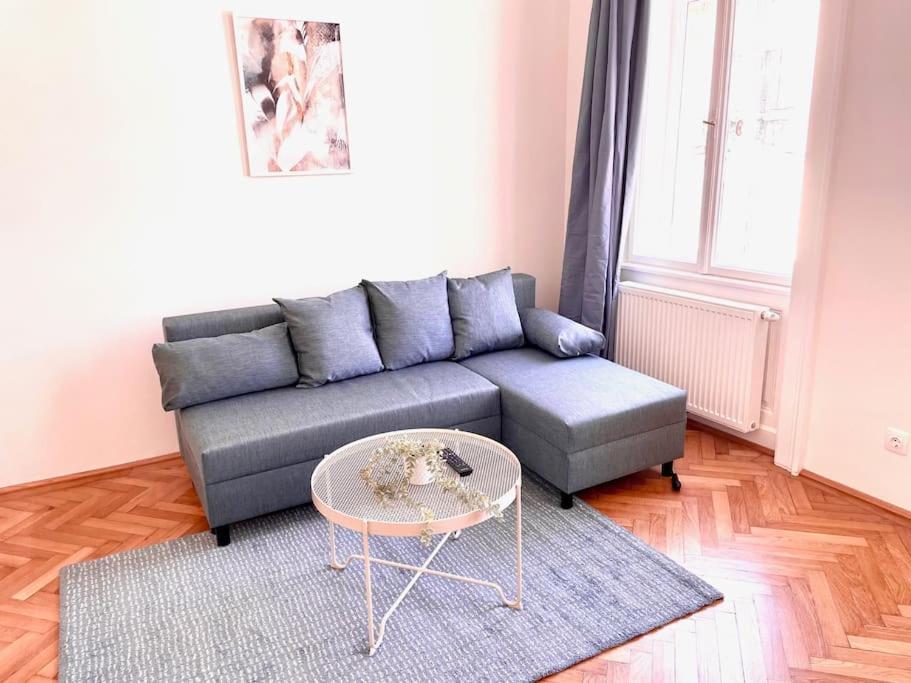וינה Brand New Spacious & Stylish Aptmt In City-Centre מראה חיצוני תמונה